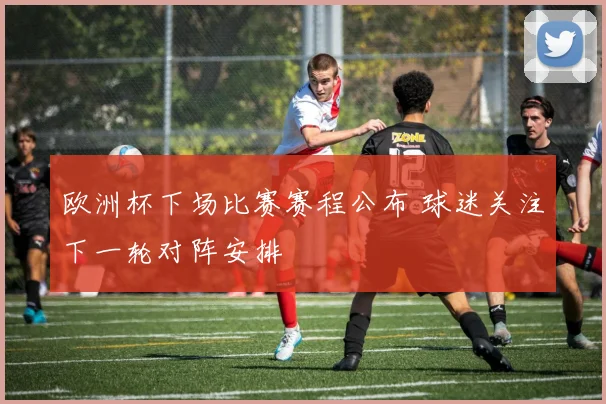 欧洲杯下场比赛赛程公布 球迷关注下一轮对阵安排