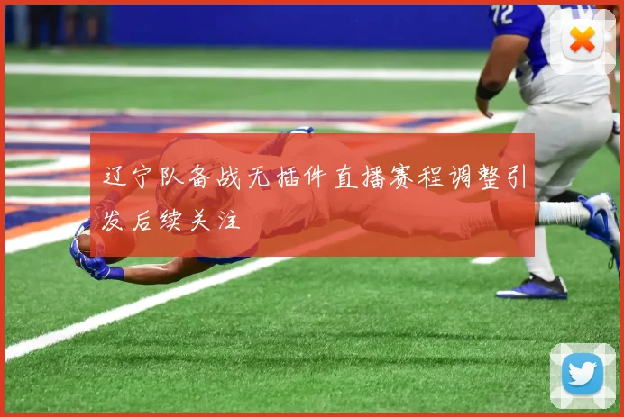 辽宁队备战无插件直播赛程调整引发后续关注