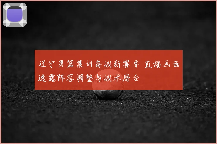 辽宁男篮集训备战新赛季 直播画面透露阵容调整与战术磨合