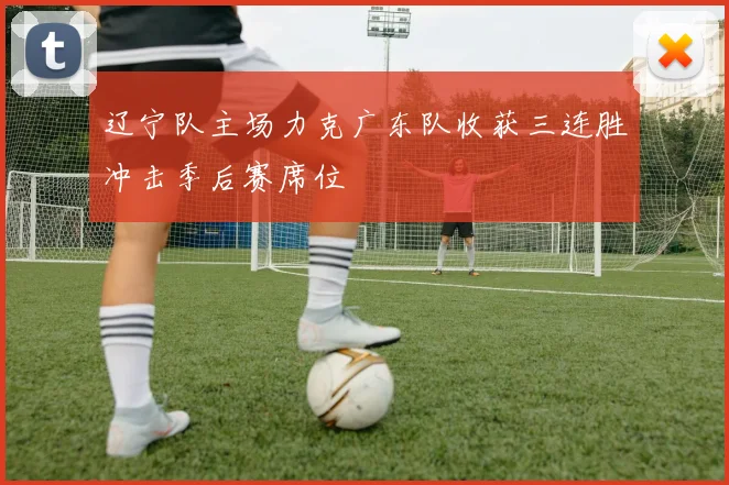 辽宁队主场力克广东队收获三连胜冲击季后赛席位