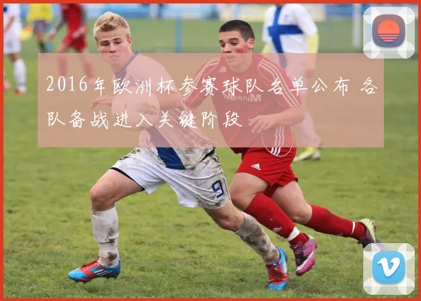 2016年欧洲杯参赛球队名单公布 各队备战进入关键阶段