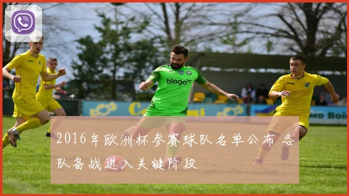 2016年欧洲杯参赛球队名单公布 各队备战进入关键阶段