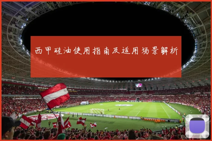 西甲硅油使用指南及适用场景解析