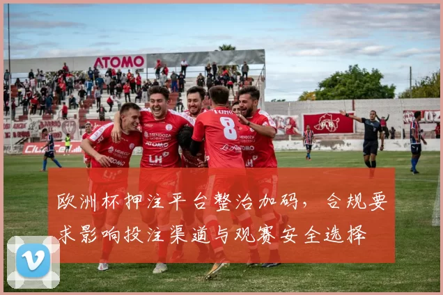 欧洲杯押注平台整治加码，合规要求影响投注渠道与观赛安全选择